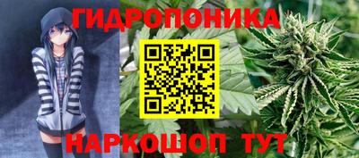 мяу мяу мука Кунгур